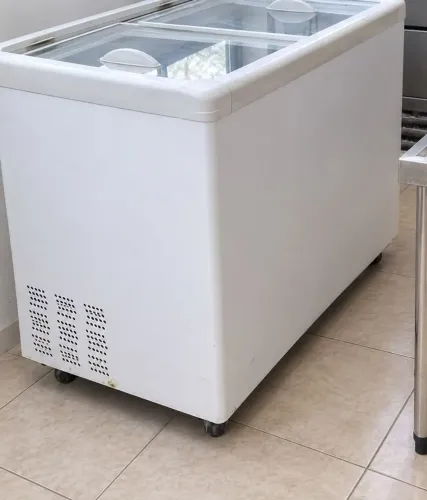 Freezer horizontal