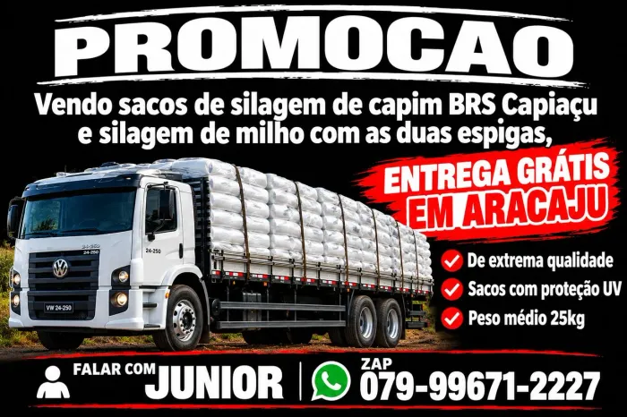 Silo de Capim BRS CAPIAÇU E MILHO entrega GRATIS EM ARACAJU