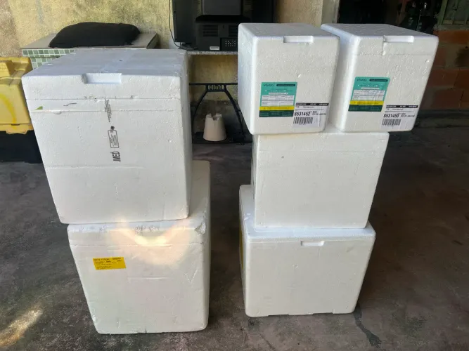 Vendo caixas de isopor para transporte e armazenamento de produtos. Varios tamanho