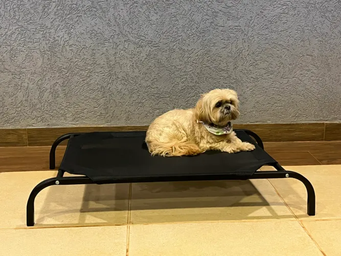 Cama pet elevada reforçada para cães médios