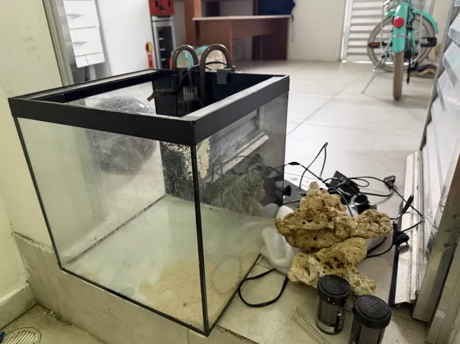 Aquário completo