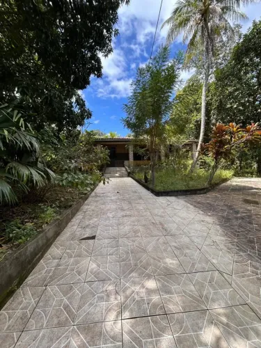 SITIO DISPONIVEL MATA DE SÃO JOÃO 3/4