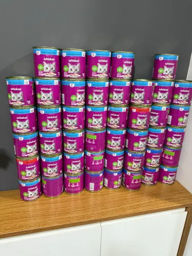 Patê para gatos