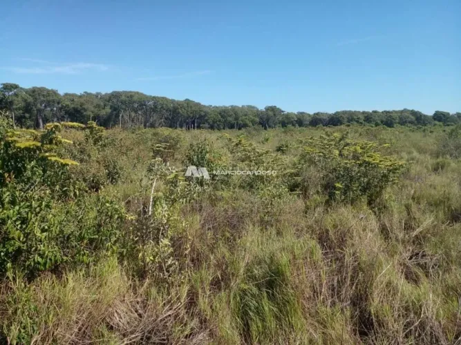 Fazenda com 1 dormitório à venda, 14600000 m² por R$ 7.000.000,00 - Centro - Poconé/MT
