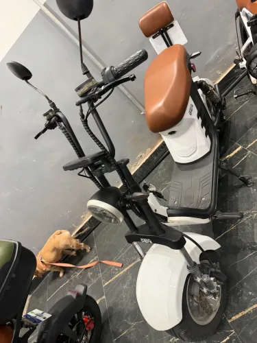 Scooter elétrica modelo x12