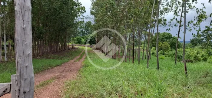 *FAZENDA NO MUNICÍPIO DE CHAPADA DA NATIVIDADE TOCANTINS. codigo: 102056