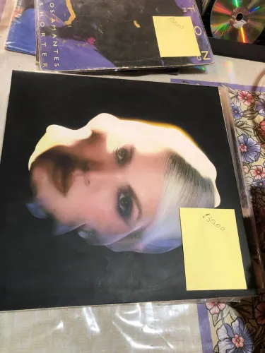 Vinil