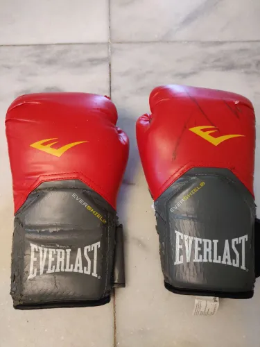 Par de Luvas Everlast Evershield