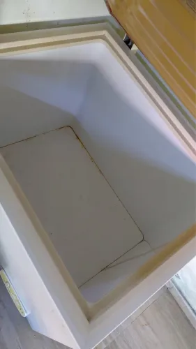 Freezer 1 tampa