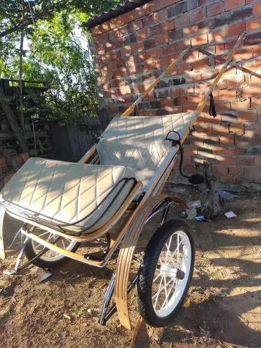 ?Charrete aro 21 pra venda .