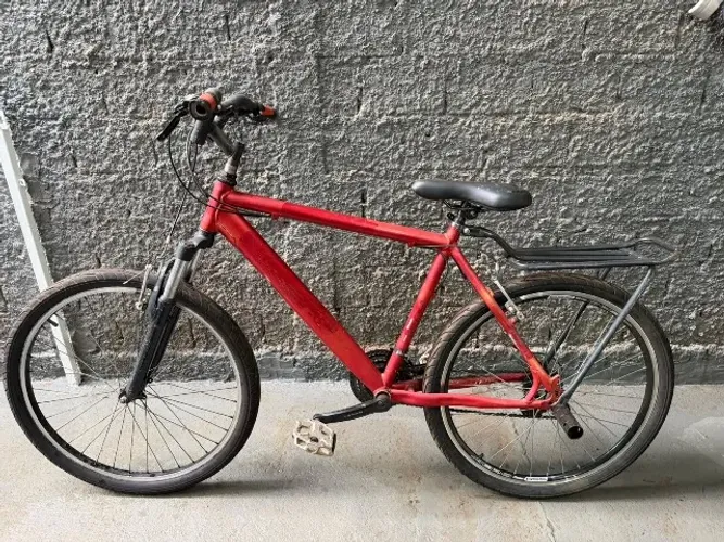 Bicicleta adulto