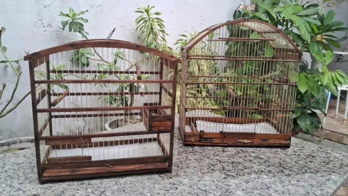 Duas gaiolas promoção