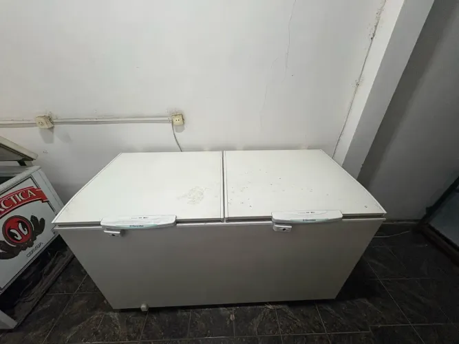 Freezer Electrolux 513l