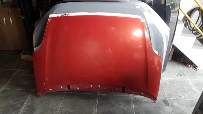 Capo Fiat punto 