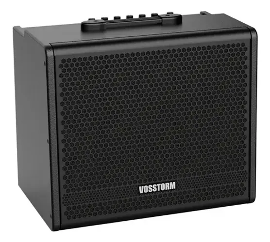 Amplificador Para Guitarra 100w Vosstorm Gx-12 
