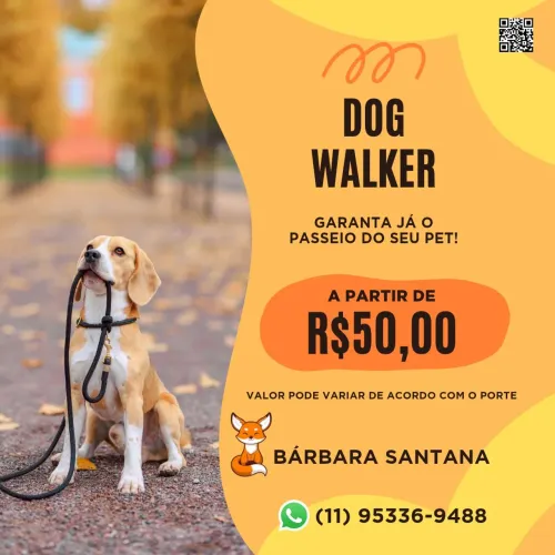 Passeio com cachorro 