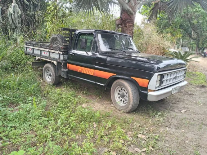 Ford F-1000 S. S. Diesel / S.s. Diesel Turbo 1991