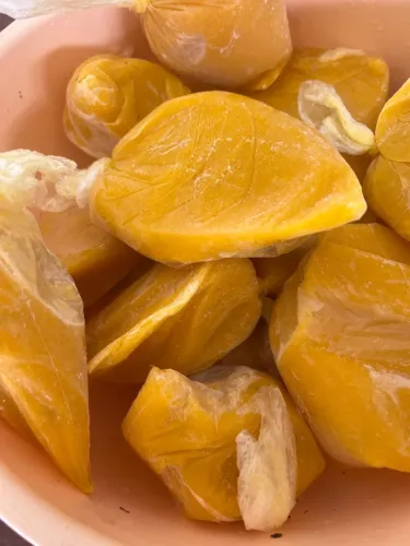 POUPA DE MANGA ESPADA ORGÂNICA