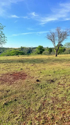Chácara em Marialva