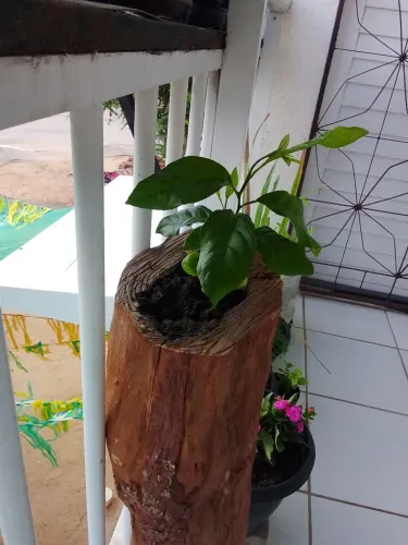 Apartamento quitado sem condomínio e IPTU.