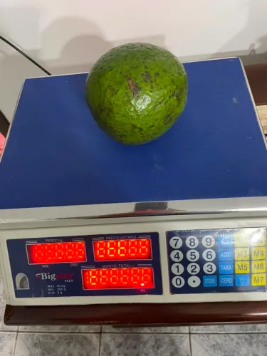 Balança Bigstar Plus 40 Kg