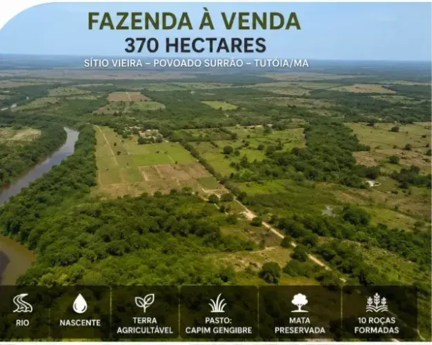 Propriedade Rara no Litoral Maranhense | 370 Hectares de Terra Produtiva