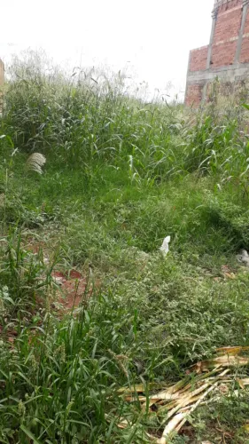 Terreno para Venda no Bairro Jardim Vera Lúcia em Barrinha/SP.
