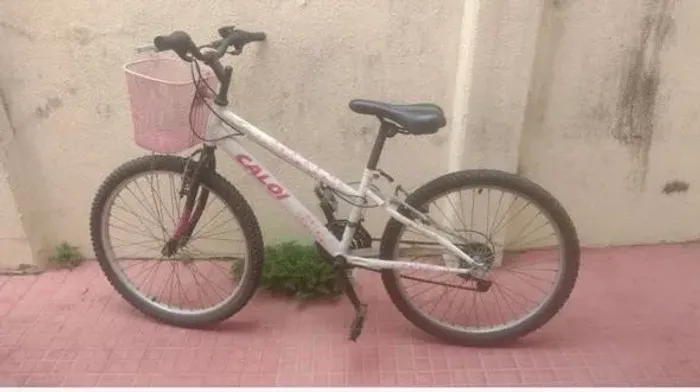Bicicleta 