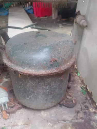 Motor de bebedouro 60 Hz
