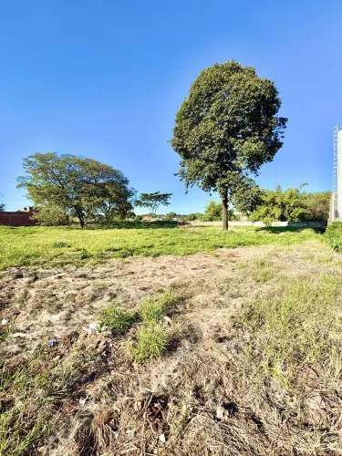 Terreno Padrão em Sarandi