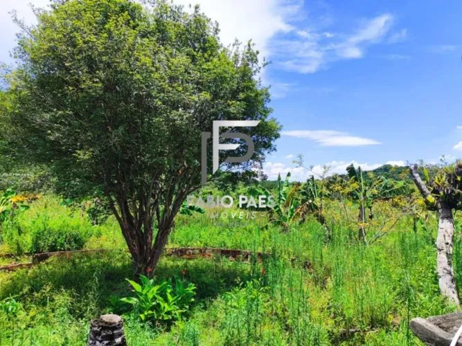 Fazenda para Venda em Cachoeiras de Macacu, Papucaia