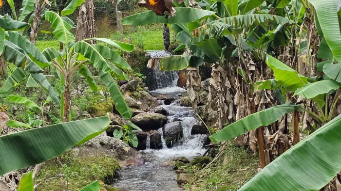 Sítio com cachoeira