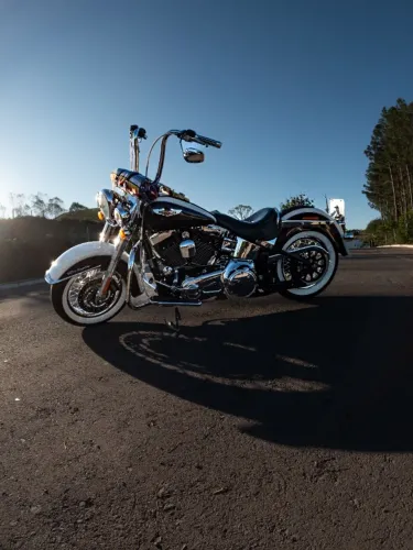 Harley-Davidson Softail Deluxe Flstn 2013