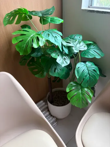 Planta falsa