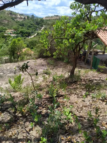 Vendo terreno (chácara) no ipê amarelo Sabará 