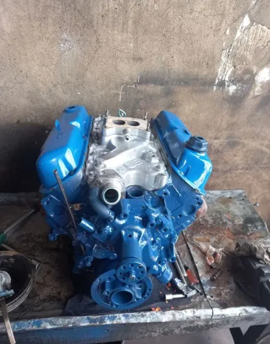 Motor 302 v8