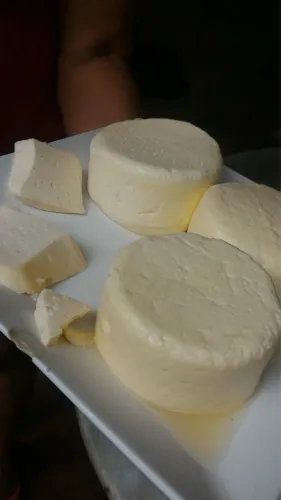 Vendo queijo minas