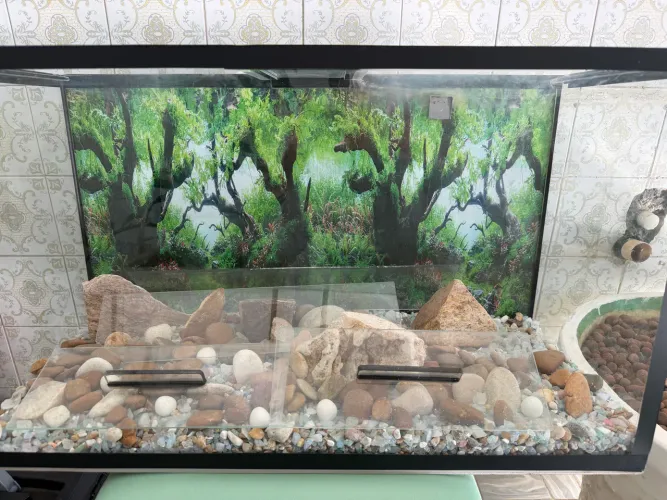 AQUÁRIO 80 LITROS COM PEDRAS E PAPEL PAISAGEM