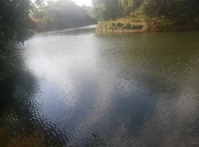 Vendo fazenda 210 hectares beira de Rio