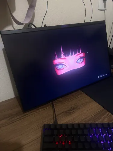 monitor