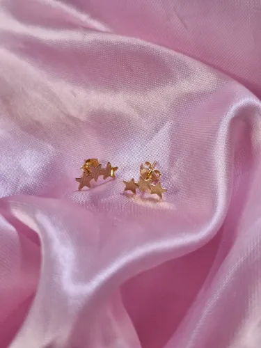 Brinco feminino dourado estrela elegante novo