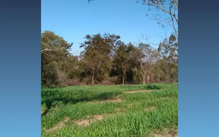 Terreno à Venda - , Nova Esperança