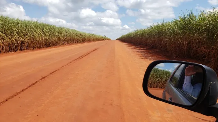 Fazenda 156 Alqueires, 124 Alqueires em Cana, Terra Boa e Plana, Benfeitorias Simples, Bei