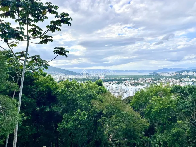 Terreno à Venda no Córrego Grande - Vista Mar e Potencial Exclusivo em Florianópolis