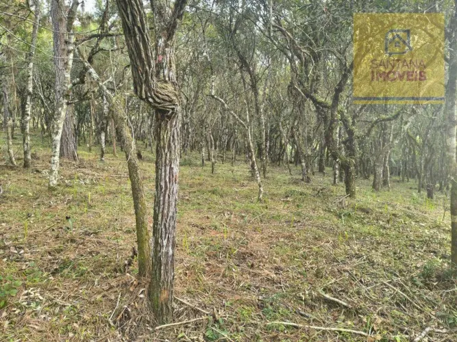 Área à venda, 7000 m² por R$ 420.000 - Bateias - Campo Largo/PR