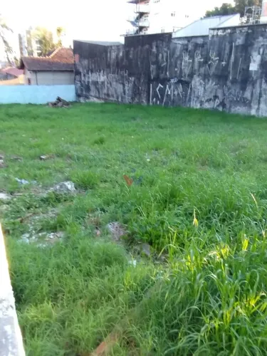 Terreno à Venda no Bairro Portão, 354 m em Área Nobre, Oportunidade Especial