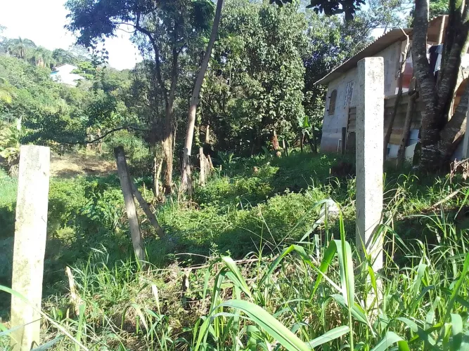 Venda