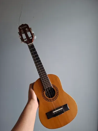 Cavaquinho Paulistinha Rozini 2008