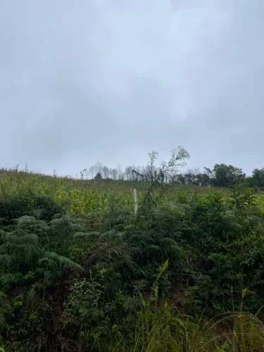 Terreno de Chácara 3.000m² no Marmeleiro | Entrada 50 mil 