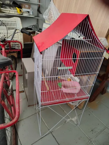 Gaiola de ferro para pássaros
